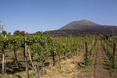 POMPEI & ASSAGGI DI VINI GOLD