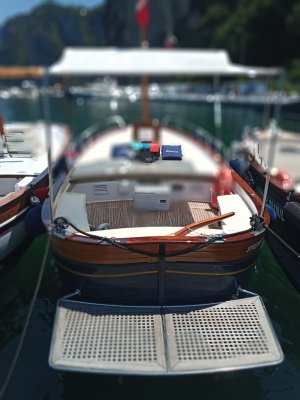 GOZZO CAPRI