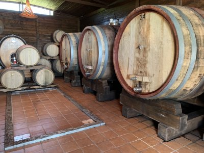 FLAVORS AND WINES OF VSUVIUS: TASTING AND TRADITIONS