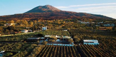 FLAVORS AND WINES OF VSUVIUS: TASTING AND TRADITIONS
