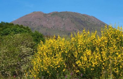 VESUVIO IL CRATERE